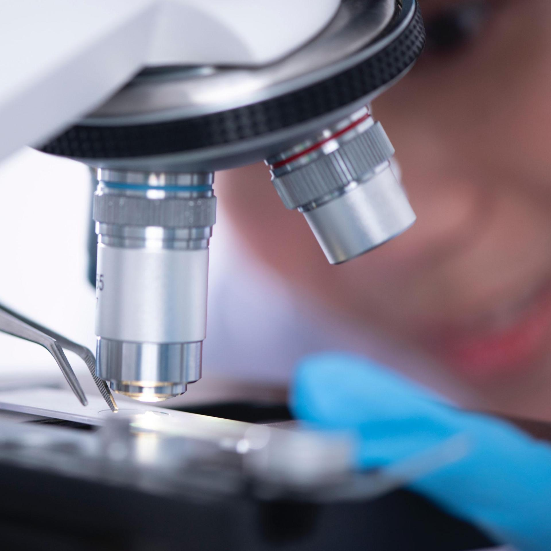 Experienced API Manufacturing Specialists